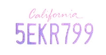 an icon of a number plate with a state is written in different colors, representing normalization for anpr systems.