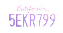 an icon of a number plate with a state is written in different colors, representing normalization for anpr systems.